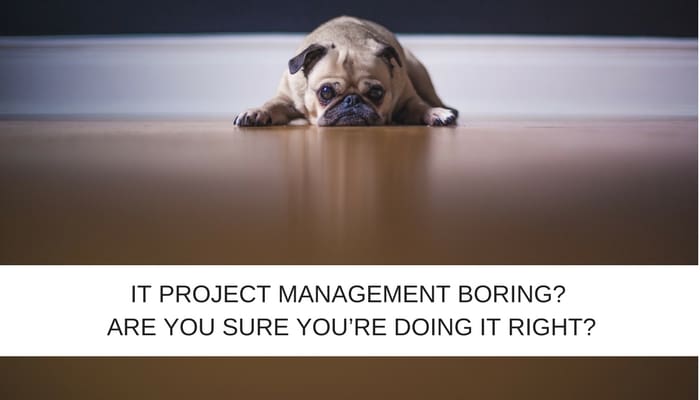 IT PROJECT MANAGEMENT BORING?  ARE YOU SURE YOU’RE DOING IT RIGHT?