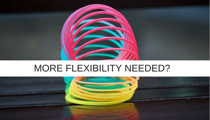 TO BE A SOLID IT PROJECT MANAGER - BE MORE FLEXIBLE